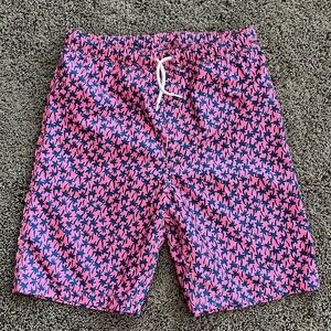 Boys Lands End Swim Trunks - Size Large 14/16